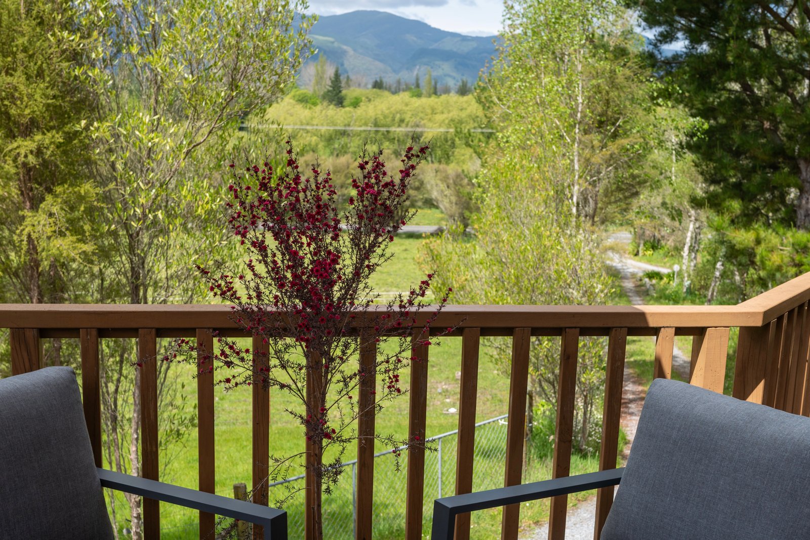 Ruru Retreat 1